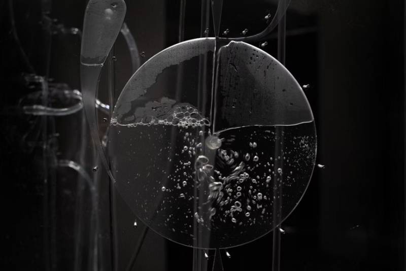 Fluid Anatomy 2 - Ioana Vreme Moser